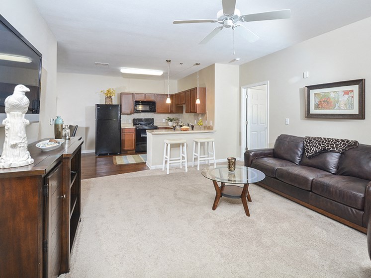 Carpeted Living Room with Ceiling Fan